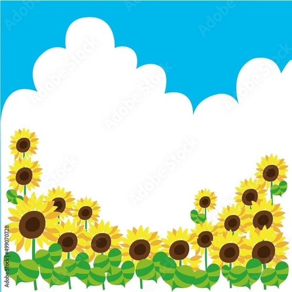 Obraz ひまわり畑