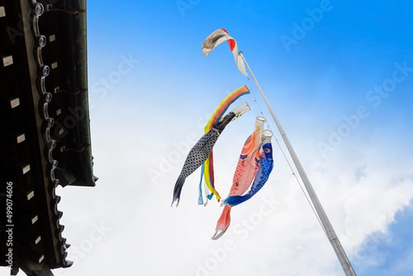 Fototapeta 青空の鯉のぼり　空に泳ぐ鯉のぼり　鯉のぼり