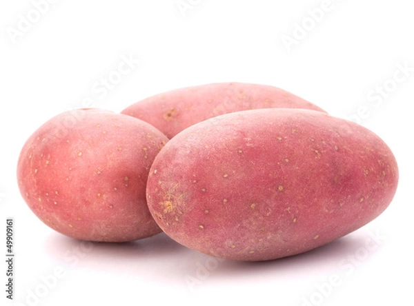 Obraz New potato tuber heap