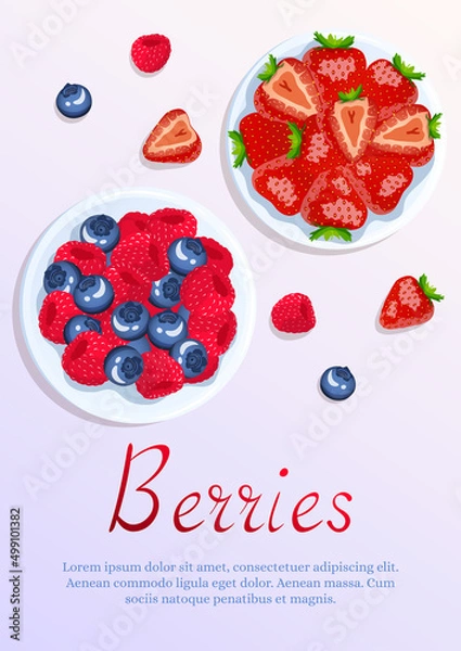 Fototapeta Bowls with berries. Raspberry, strawberry and blueberry. Berries, healthy food, dieting concept. A4 vector illustration for flyer, poster, banner.