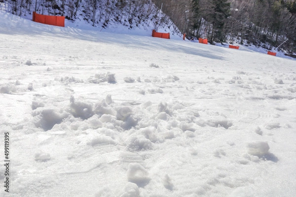 Fototapeta 治部坂高原スキー場、春のゲレンデ雪面