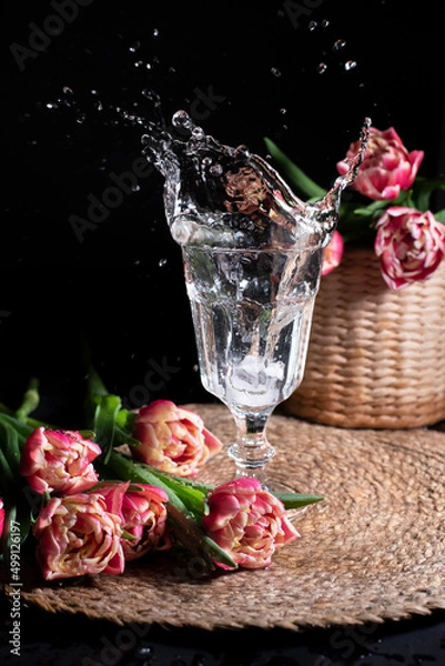 Fototapeta Splashing water out of transparent glass on a black background with pink tulips