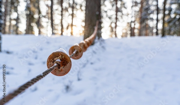 Fototapeta Photo of Outdoor Playground Elements in Forest in Sunny Winter, Abstract Background with Selective Focus
