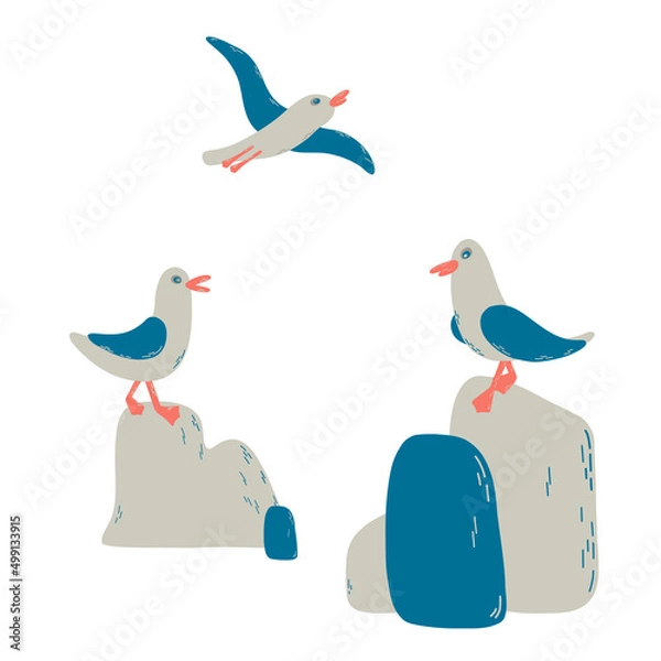 Fototapeta Cartoon atlantic seabird. 3gulls and stones in a vector flat style. Marine composition for print, cards.