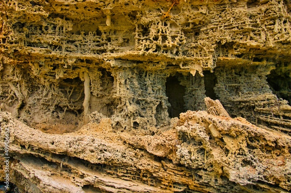 Fototapeta Mysterious erosion patterns in sandstone look like a fantasy illustration. Avoid Bay, Coffin Bay National Park, Eyre Peninsula, South Australia
