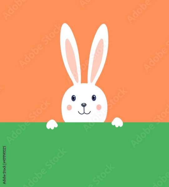 Fototapeta Easter rabbit, easter Bunny.Hare head.Icon vector character,isolated on orange background.