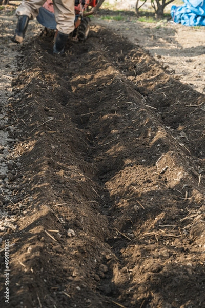 Obraz 庭で畑起こしする風景