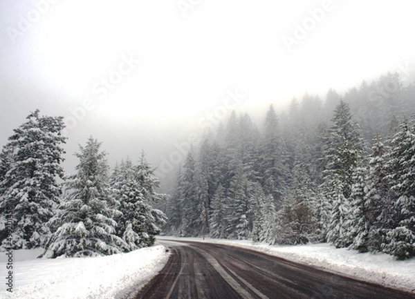 Obraz road in the snow