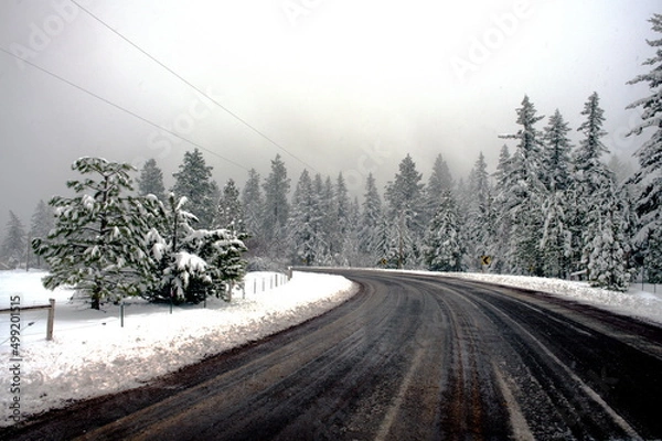Obraz winter road in the forest