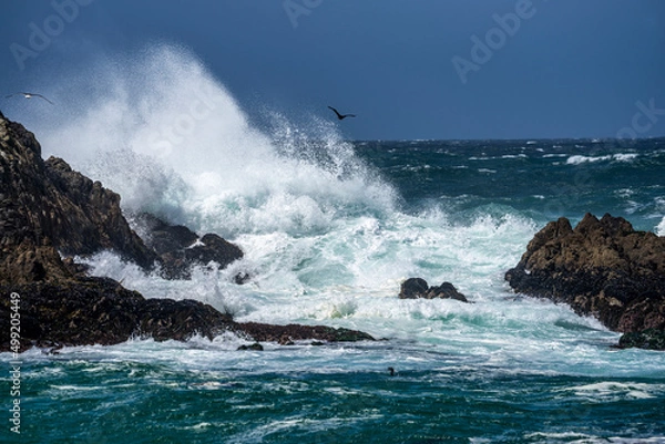 Fototapeta Ocean spray