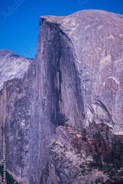 Fototapeta Halfdome yosemite