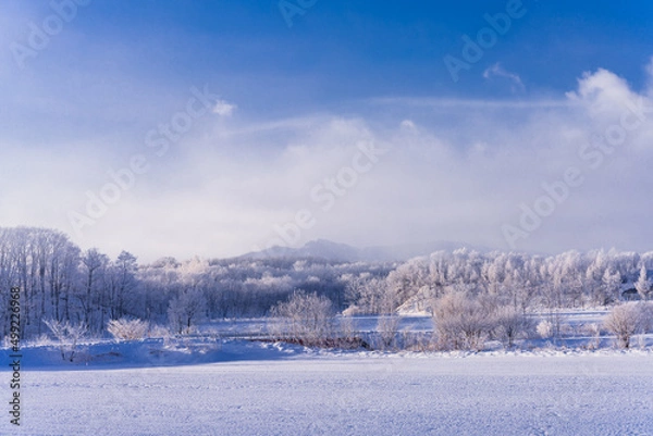 Obraz 北海道の朝の樹氷風景