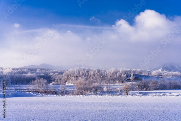 Obraz 北海道の朝の樹氷風景