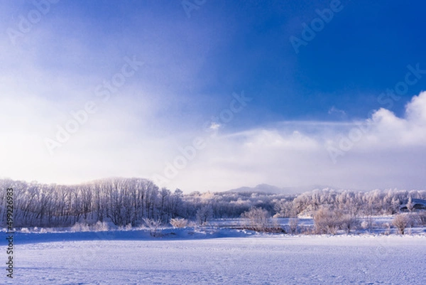 Obraz 北海道の朝の樹氷風景
