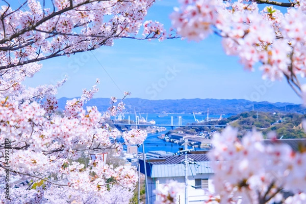 Obraz 春の尾道水道の景色と満開の桜