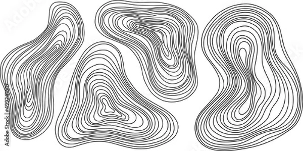 Obraz Abstract tree rings. Vector topographic map concept. Seamless background. Thin black lines on white