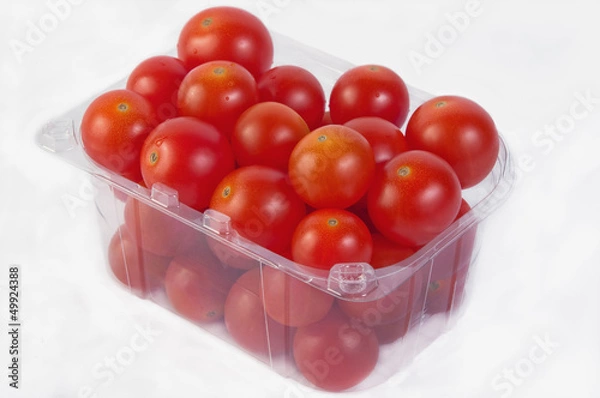 Obraz Tomatoes