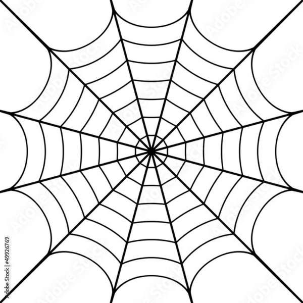 Obraz Vector illustration of cobweb
