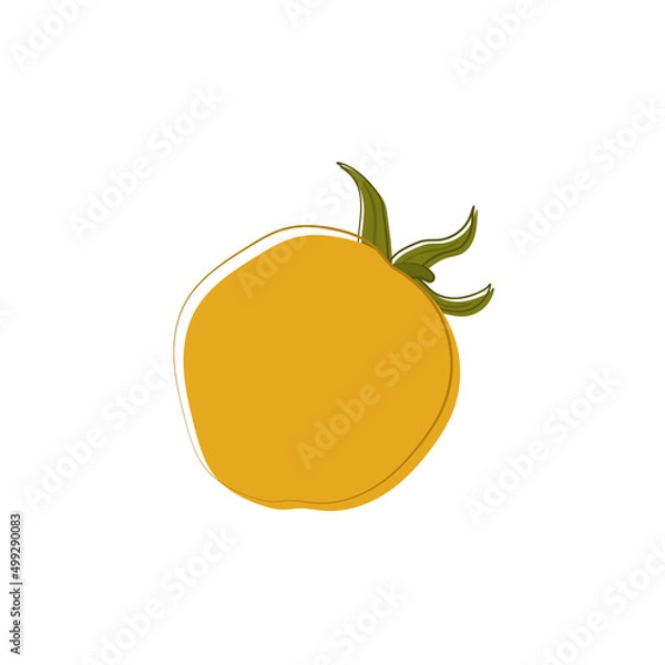 Fototapeta Vector lying yellow whole raw tomato. Hand drawn element. Fresh vegetable