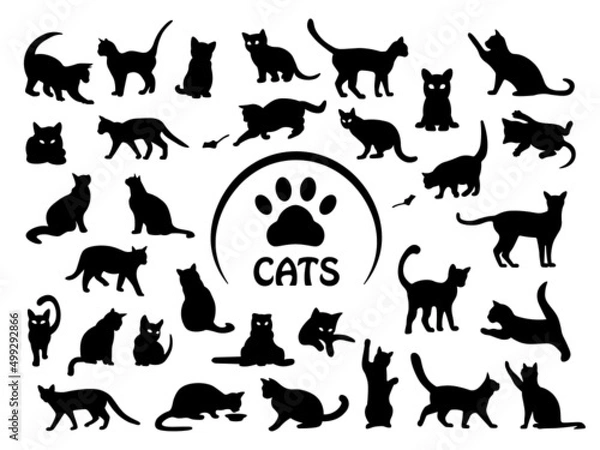 Fototapeta Cat SVG, Kitten SVG, Cat SVG bundle, Cute cat SVG,  Pet SVG,  Pussycat SVG, Сat footprint SVG, Сat eating SVG, Cat Playing SVG, Cat cut files SVG