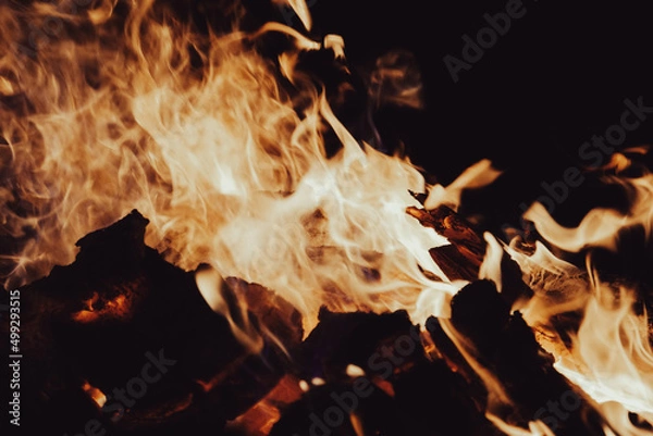 Obraz Campfire flames background