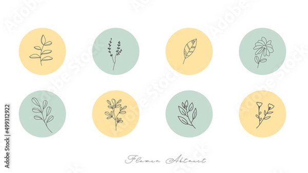 Fototapeta Set minimalist handwritten flower leaf set isolated on white background ,Vector illustration EPS 10