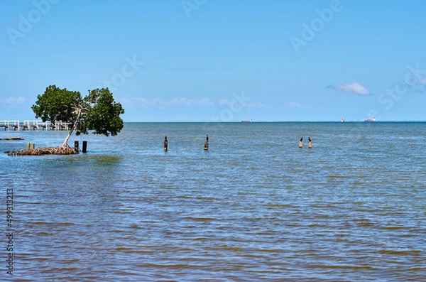 Obraz Puerto San José