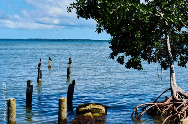 Obraz Puerto San José