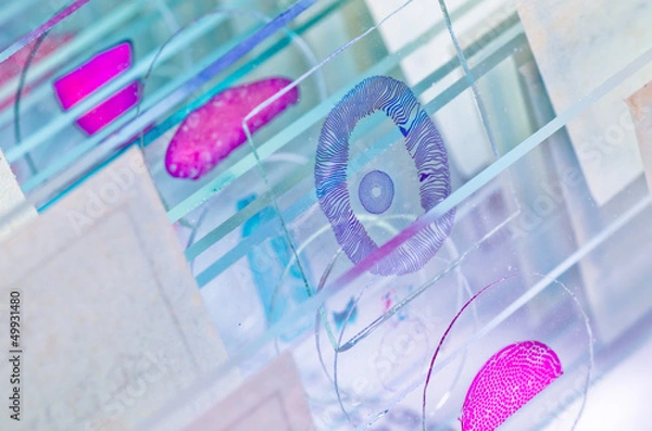 Fototapeta science microscope slide