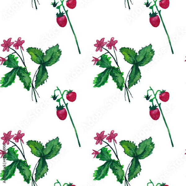 Fototapeta Seamless pattern of berries and strawberry leaves. Hand painted watercolor on a white background