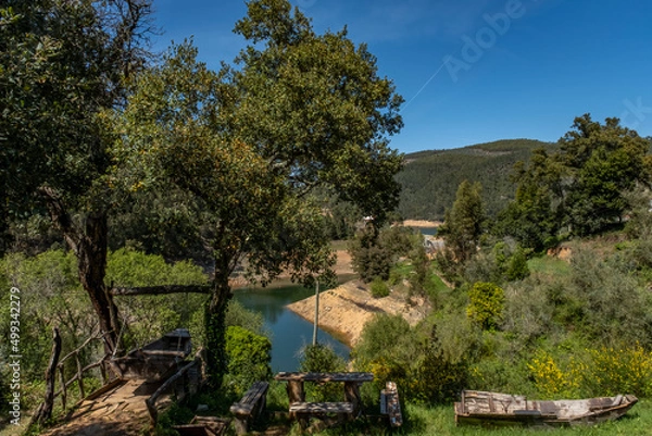 Obraz lake and forest