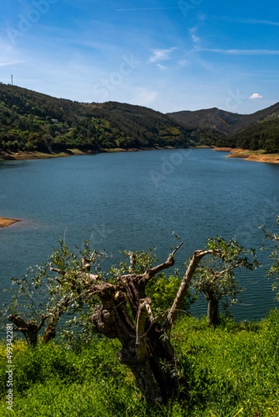 Obraz lake and mountains
