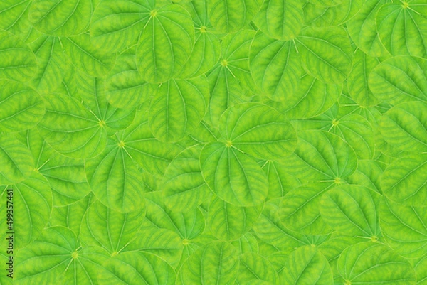 Obraz Leaves background. Seamless leaves pattern