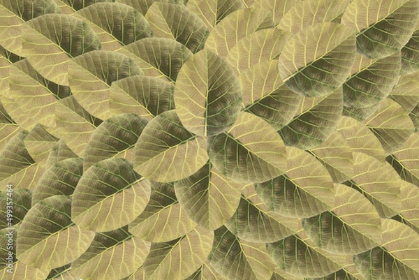 Obraz Leaves background. Seamless leaves pattern