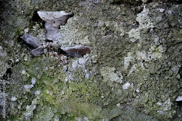 Obraz 苔むした岩