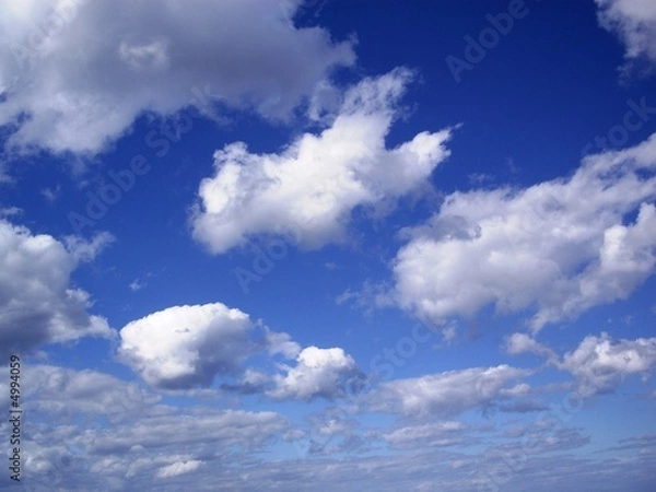 Obraz Snow-white clouds