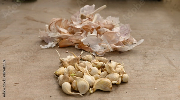 Obraz Pflanzknoblauch vorbereiten