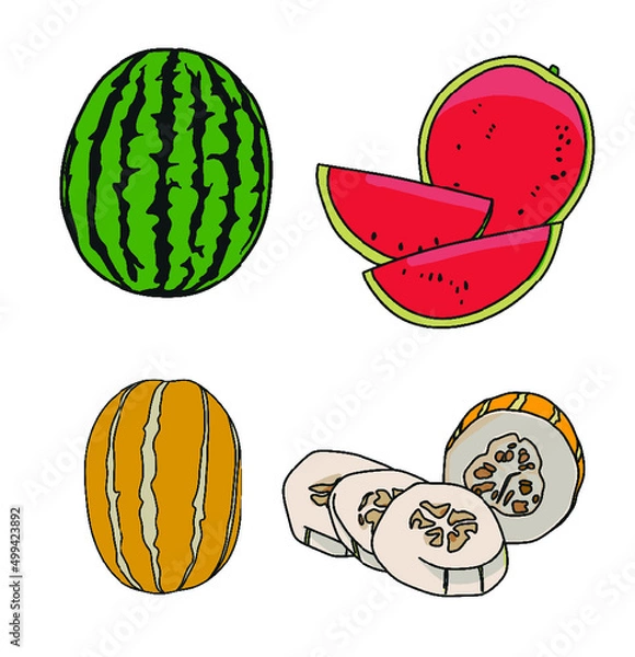 Obraz 과일 여름 일러스트 벡터 소스 디자인