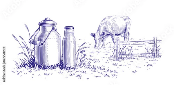 Fototapeta milk in a can and a cow hand drawing sketch engraving illustration style