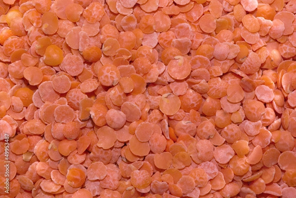 Obraz lentil