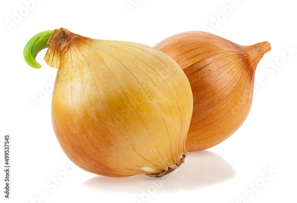 Obraz Onion isolated on white background.