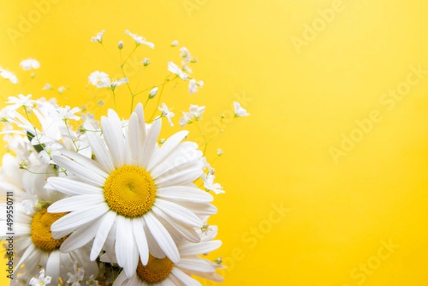Obraz Flowers composition. Chamomile flowers on yellow background. Spring, summer concept. top view, copy space