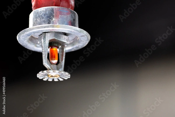 Obraz Fire sprinkler and red pipe.