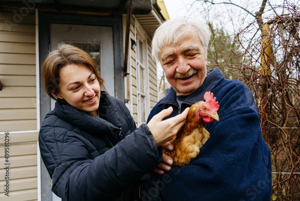 Fototapeta Grandfather and granddaughter hold a chicken in their hands while standing on the farm