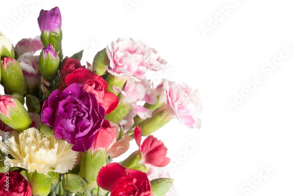 Fototapeta Nelkenstrauß