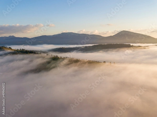 Obraz Sunny morning in the foggy Carpathians. A thick layer of fog covers the mountains. Aerial drone view.