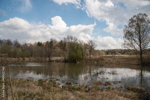 Obraz Spring landscape. Pond, trees without leaves, lake.