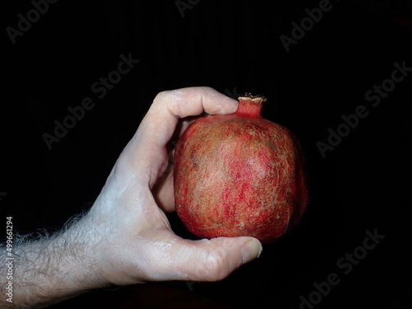 Obraz Pomegranate in Hand