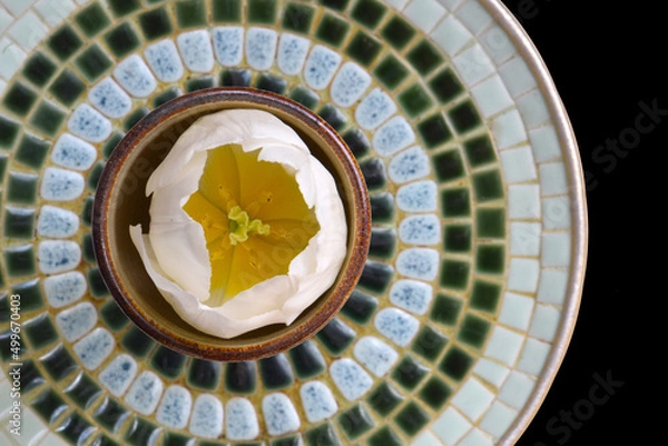 Obraz Virgin Tulip Mosaic Mandala 05