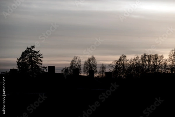 Obraz sunset in the forest